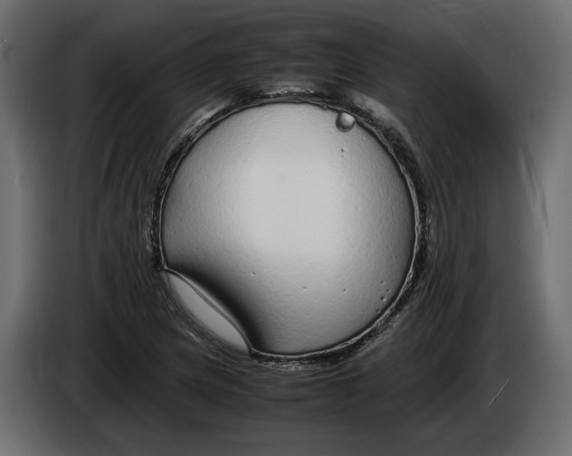 X0000083601217200703021904