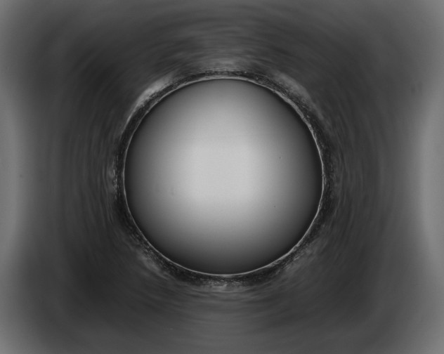 X0000083601218200703021904