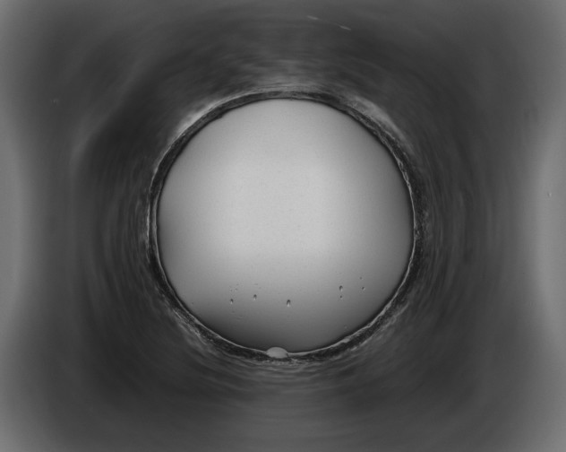 X0000083601220200703021904