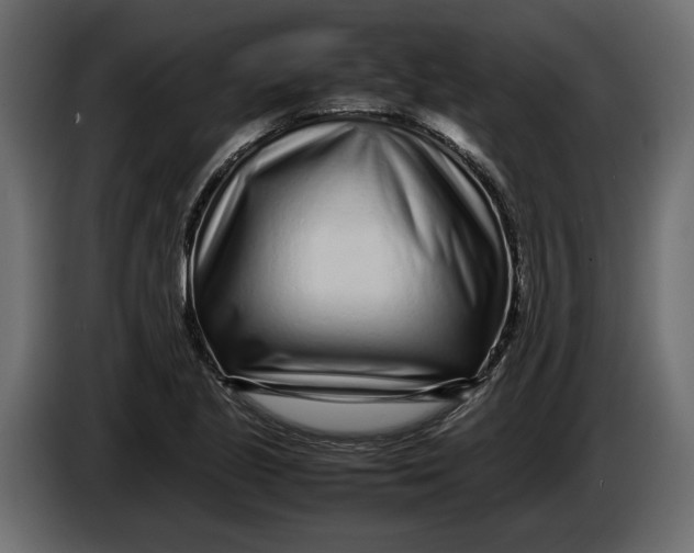 X0000083601221200703021904