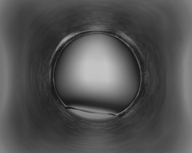 X0000083601222200703021904