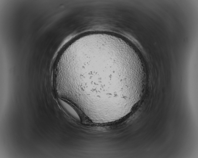 X0000083601224200703021904