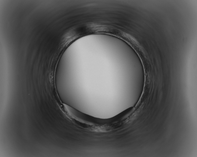 X0000083601225200703021904