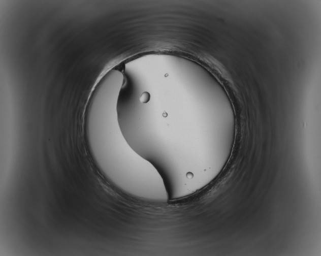 X0000083601226200703021904