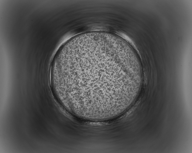 X0000083601227200703021904