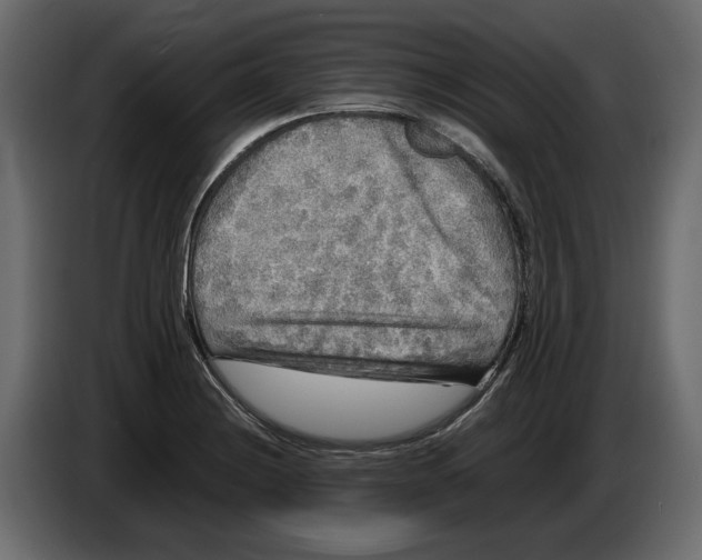 X0000083601228200703021904