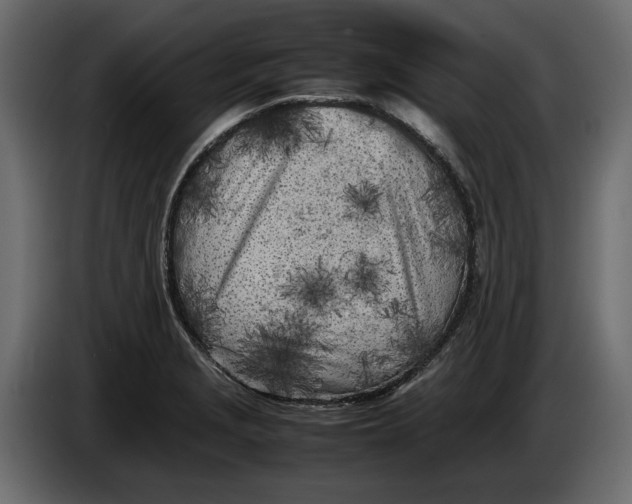 X0000083601229200703021904