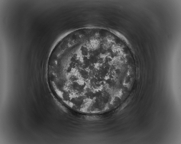 X0000083601231200703021904