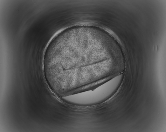 X0000083601232200703021904