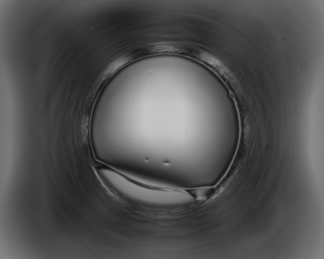 X0000083601233200703021904