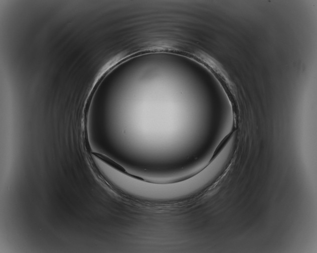 X0000083601234200703021904