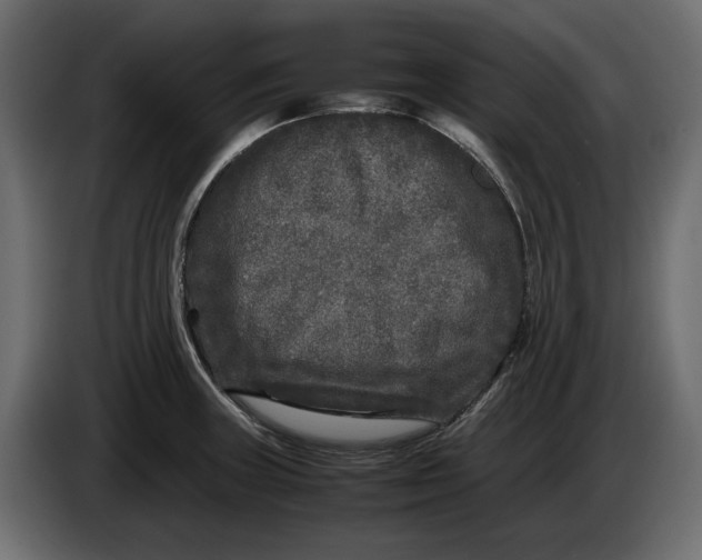 X0000083601235200703021904