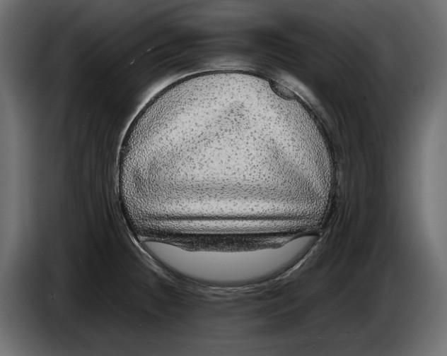 X0000083601236200703021904