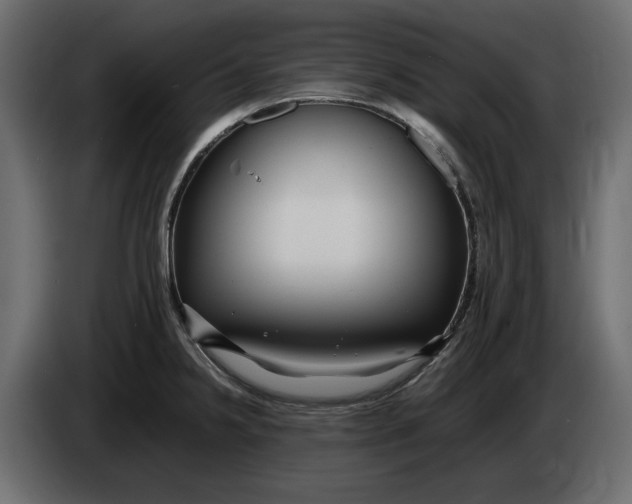 X0000083601238200703021904