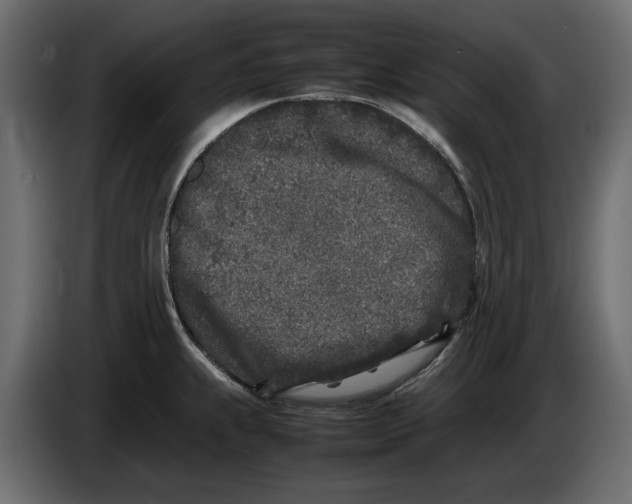 X0000083601239200703021904