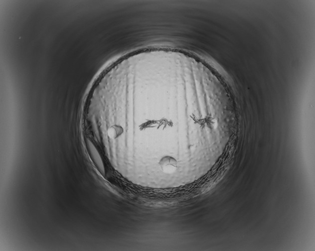 X0000083601240200703021904