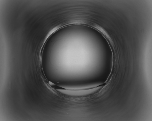 X0000083601242200703021904