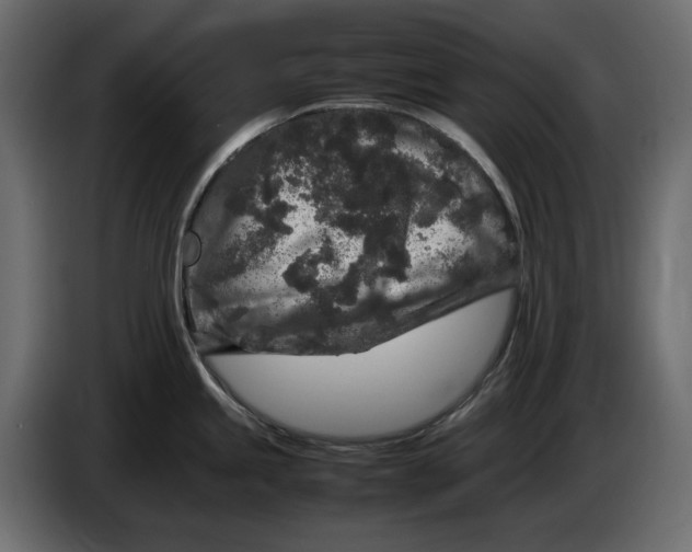 X0000083601245200703021904