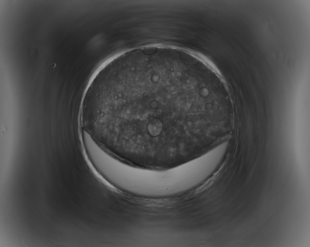 X0000083601247200703021904