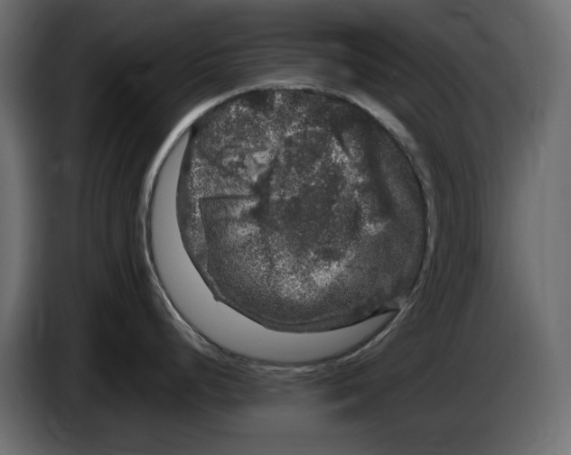 X0000083601248200703021904