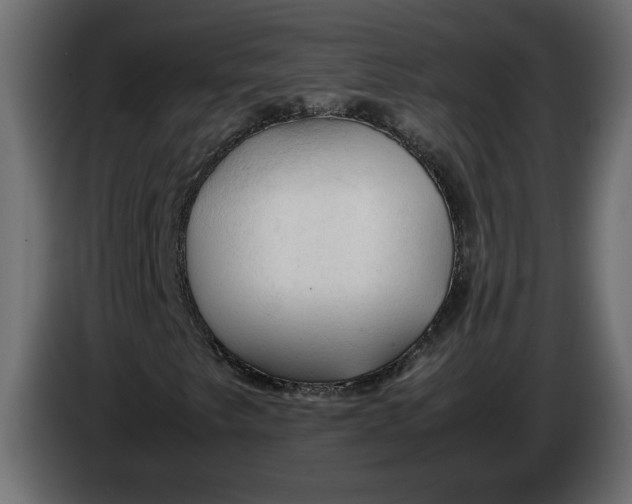 X0000083601249200703021903