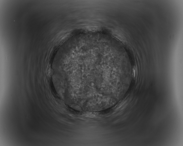 X0000083601251200703021903