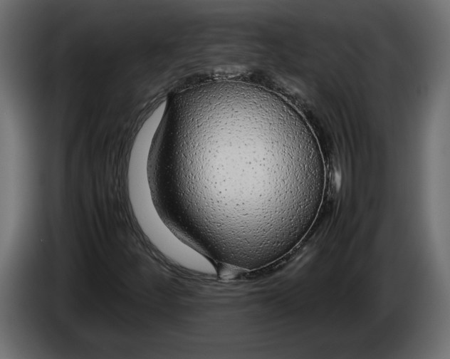 X0000083601252200703021903