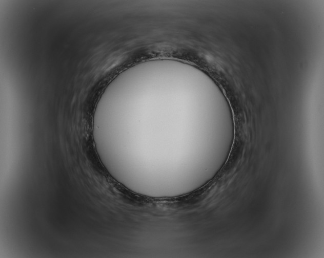 X0000083601253200703021903