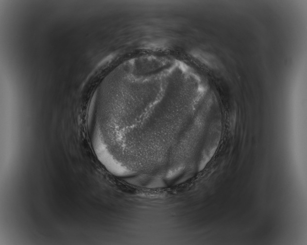 X0000083601254200703021903