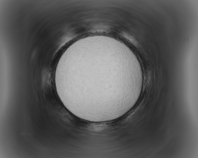 X0000083601258200703021903