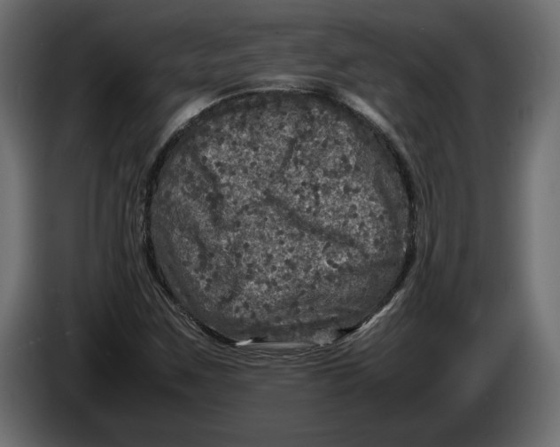 X0000083601259200703021903