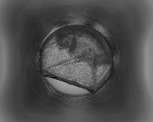 X0000083601260200703021903