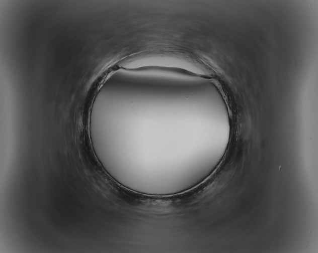 X0000083601261200703021903