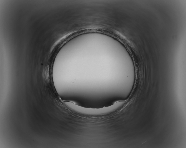 X0000083601262200703021903