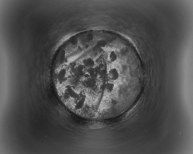 X0000083601263200703021903