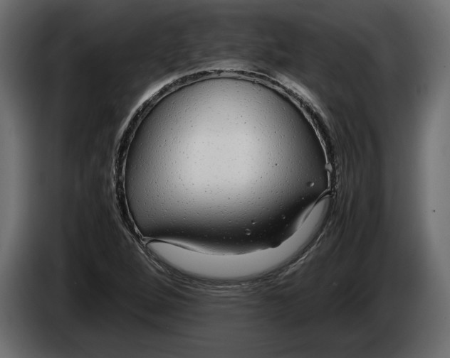 X0000083601264200703021903