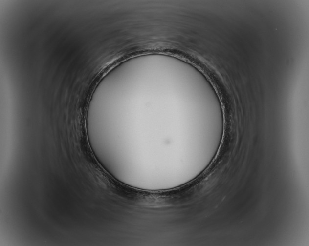 X0000083601265200703021903