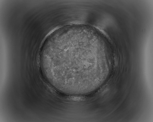 X0000083601266200703021903