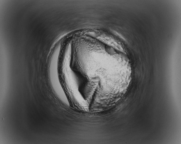 X0000083601267200703021903