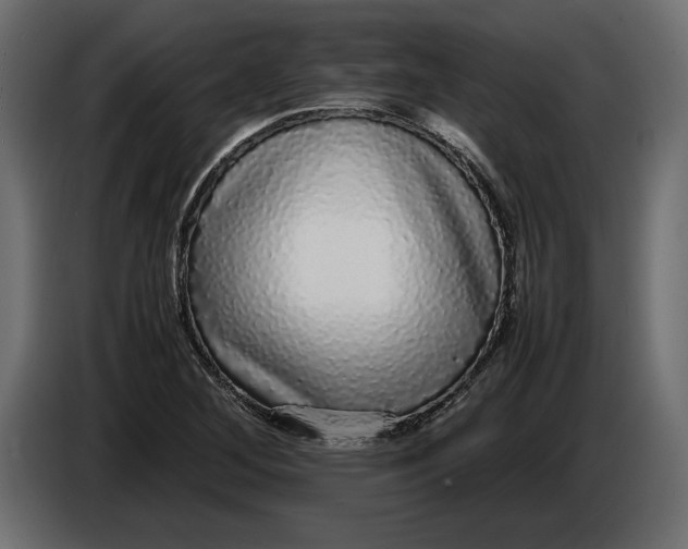 X0000083601268200703021903