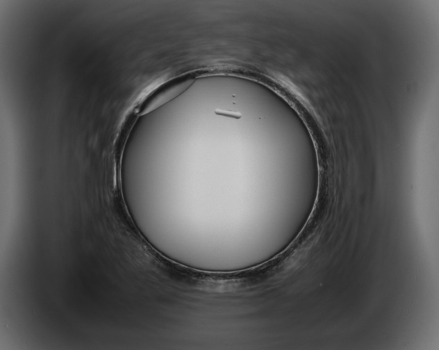 X0000083601269200703021903