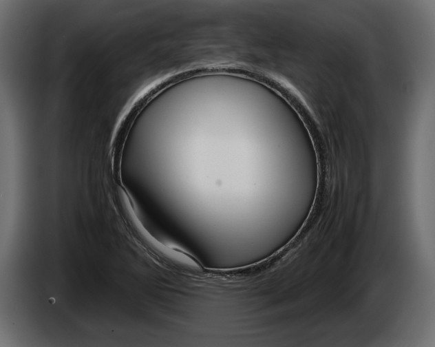 X0000083601270200703021903