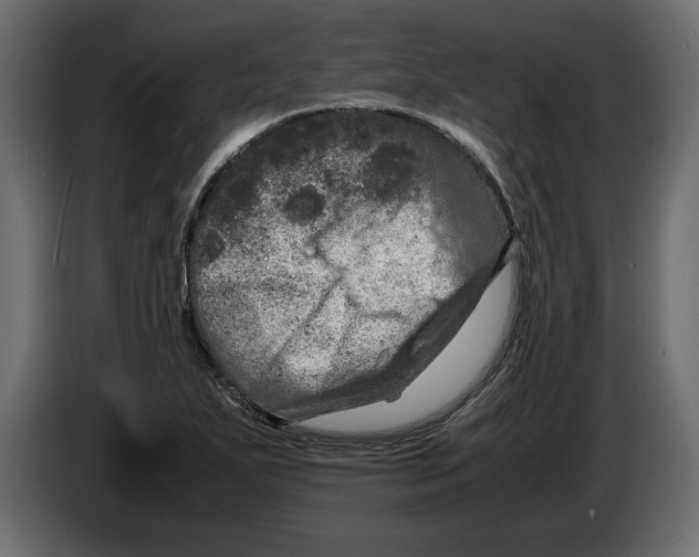 X0000083601271200703021903