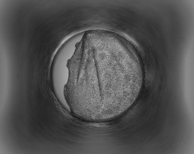 X0000083601272200703021903