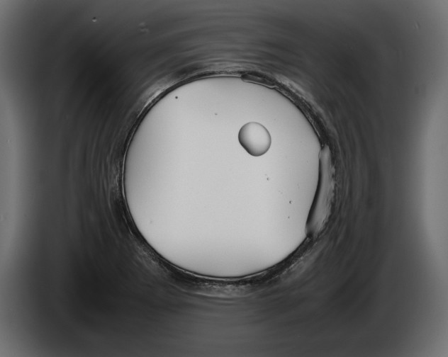 X0000083601273200703021903