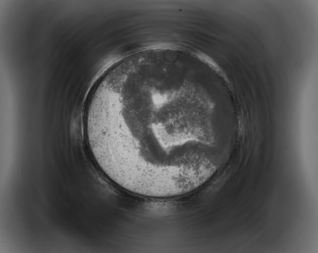 X0000083601274200703021903