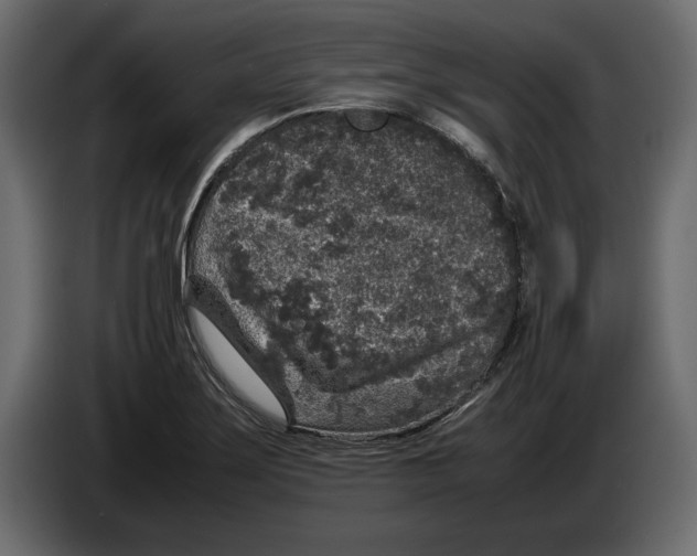 X0000083601275200703021903