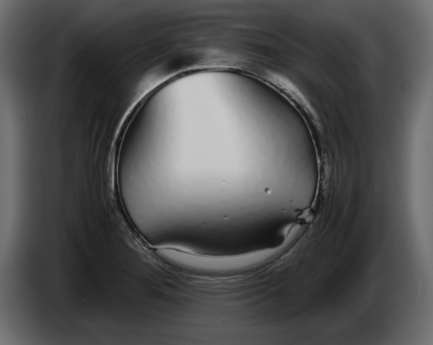 X0000083601276200703021903