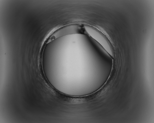 X0000083601277200703021903