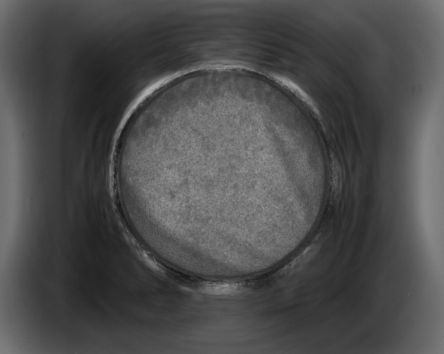 X0000083601278200703021903